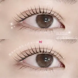 マツエク・マツパ MOND🪄 Ayanaのマツエク・マツパデザイン