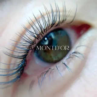 マツエク・マツパ Montdor アイリストのマツエク・マツパデザイン