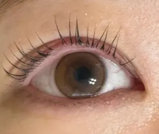 マツエク・マツパ Dolce まつげパーマ・パリジェンヌ 小田原店所属・saito maiのマツエク・マツパデザイン