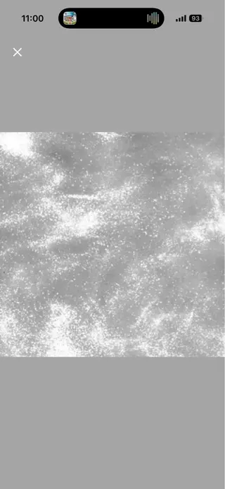 マツエク・マツパ Bianca Reika⭐️のマツエク・マツパデザイン