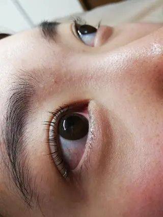 マツエク・マツパ angelux 所属・完全個室サロン🌹 angelux🌹のマツエク・マツパデザイン