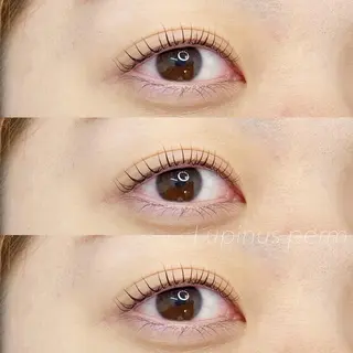 マツエク・マツパ LAND【ランド】 小鹿のマツエク・マツパデザイン