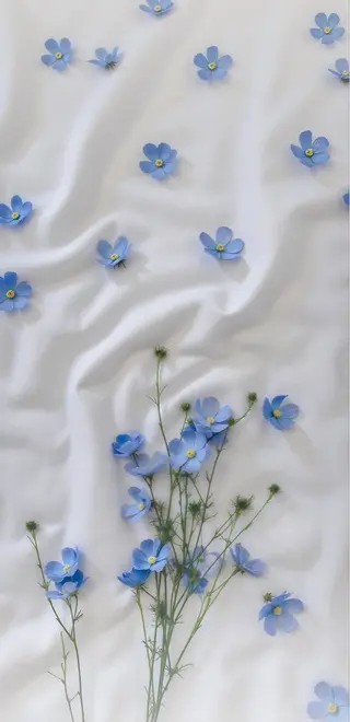 BETTISH🩵 SERIのマツエク・マツパデザイン