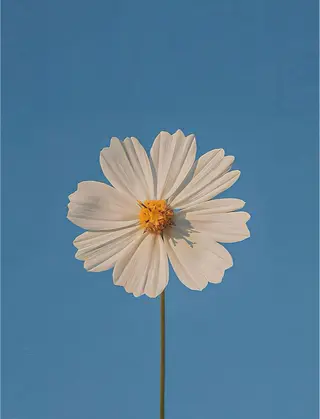 金沢市/美容師/ 岡島由希美のマツエク・マツパデザイン