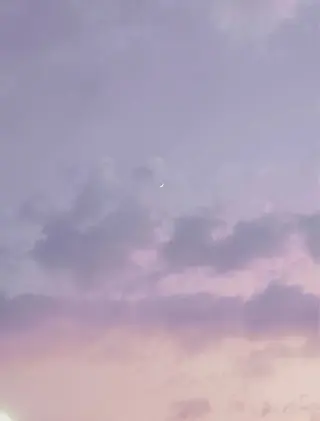 SSINSTUDIO 𝑴𝒊𝒉𝒐🦋のその他イメージ