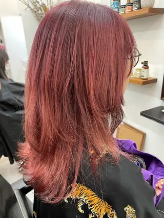 ミディアム カラー 艶カラー🌙縮毛矯正 /ボブ【Reina】のヘアスタイル