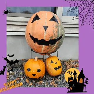 熊谷 真美のその他イメージ