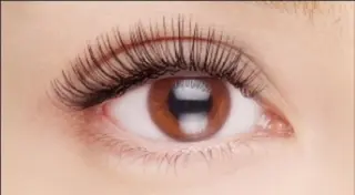 マツエク・マツパ AZURE eyelash＆eyebrow所属・AZURE アジュールのマツエク・マツパデザイン