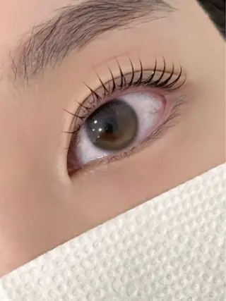 パーマ MAX eyelash6のマツエク・マツパデザイン