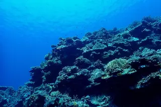 Ciel～天国リラクゼーションサロン～所属・極上体験～Ciel～ 今井 いちごのエステ・リラクイメージ