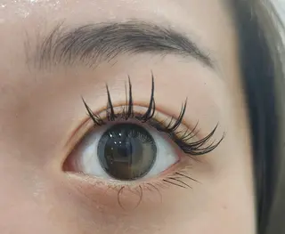 マツエク・マツパ Eyeherbskin所属・札幌東区・デザイン まつげパーマのマツエク・マツパデザイン