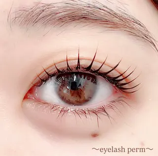 マツエク・マツパ 田村 莉子のマツエク・マツパデザイン