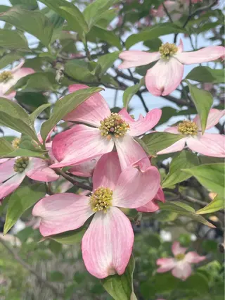 プライベートサロン 花水月のエステ・リラクイメージ