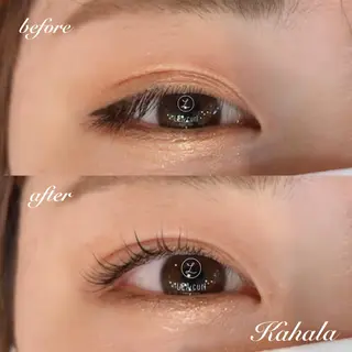 マツエク・マツパ Fujimoto 🦭⸝⋆꙳のマツエク・マツパデザイン