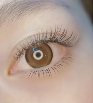 マツエク・マツパ A.MEYELASH SALON大久保店のマツエク・マツパデザイン