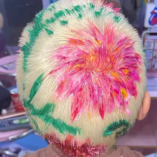 ショート カラー 👽KINA👽 派手髪🦖💖✨のヘアスタイル