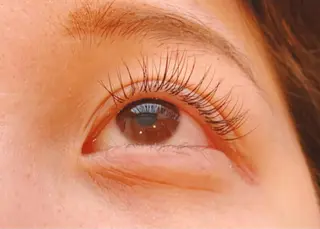 マツエク・マツパ Lupines 🌼Ruri🌼のマツエク・マツパデザイン