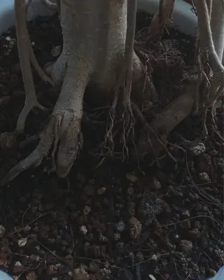 terra nube/ヘッドスパ専門店所属・terra nube 🌿ヘッドスパ専門店のヘアスタイル