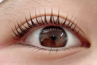 マツエク・マツパ CREA所属・木村 姫星の眉毛・アイブロウイメージ