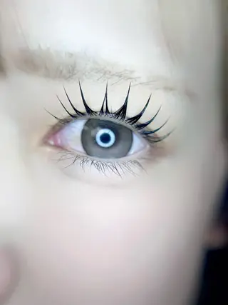 マツエク・マツパ eyelist. mizuki🐈‍⬛の眉毛・アイブロウイメージ