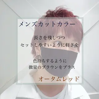 ショート カラー メンズ 🌺ウルフカット職人 新垣渚🐺のヘアスタイル