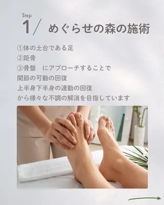 めぐらせの 森のその他イメージ