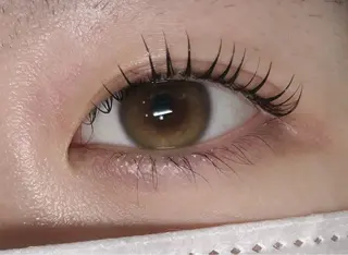 マツエク・マツパ ᴘʟᴀᴛɪɴᴜᴍ ᴅᴏʟʟえば🫧のマツエク・マツパデザイン