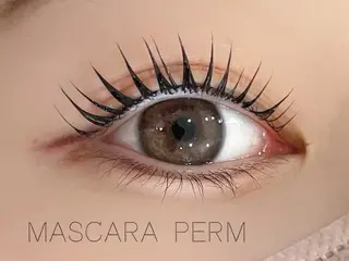 マツエク・マツパ eyelashZen ♥️HIMEのマツエク・マツパデザイン