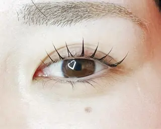 マツエク・マツパ Celeste Venus所属・🧸Celeste Venusのマツエク・マツパデザイン