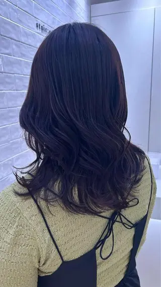 ミディアム 銀座/韓国レイヤー/ 艶カラー🍓原田侑依のヘアスタイル