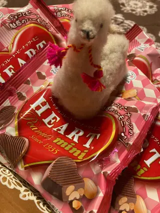 岩井 秋子のエステ・リラクイメージ