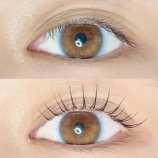 マツエク・マツパ AYLASH🧡 猪又のマツエク・マツパデザイン