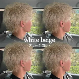 カラー メンズ 夏向/ハイトーン /パーマのヘアスタイル