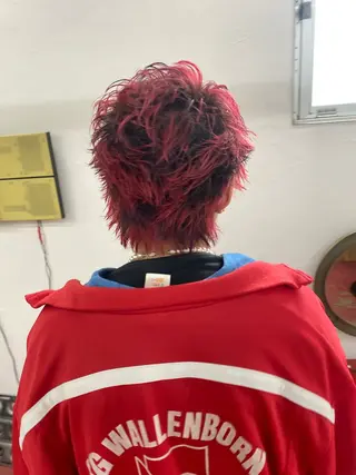 ショート カラー メンズ qiie/ワンカラー インナーカラーのヘアスタイル