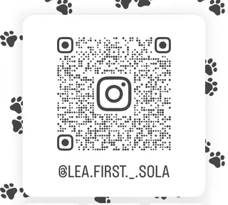 マツエク・マツパ lea'first東梅田所属・🧸SOLA🍪 lea'firstのマツエク・マツパデザイン