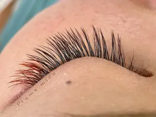 マツエク・マツパ Plume micoのマツエク・マツパデザイン