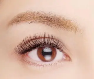 マツエク・マツパ eyelash mele.所属・mele. akihoのマツエク・マツパデザイン