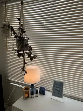 マツエク・マツパ loji所属・ナチュラル眉サロン 🌿lojiロジの眉毛・アイブロウイメージ