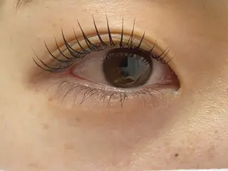 マツエク・マツパ BEL EYE BEAUTYアイのマツエク・マツパデザイン