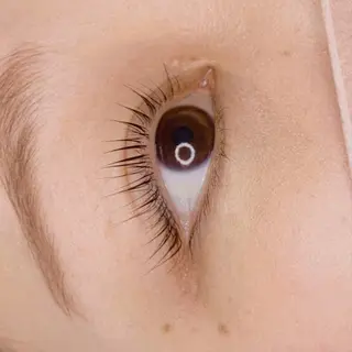 マツエク・マツパ Celeste Venus所属・🧸Celeste Venusのマツエク・マツパデザイン