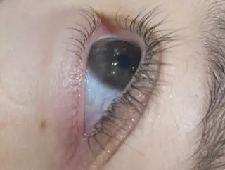 マツエク・マツパ マツモト カナエのマツエク・マツパデザイン