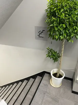 ネイル ネイルサロンメィプル所属・maple amiのネイルデザイン