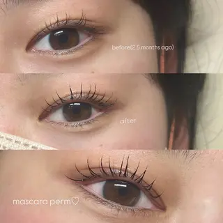 マツエク・マツパ times salon所属・ボウ🪞ヘアセット /マツパ/眉毛のヘアスタイル