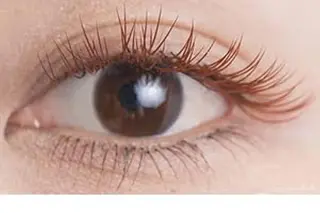 マツエク・マツパ さろんどふじた甲子園所属・江嵜 真由美　　　　甲子園のマツエク・マツパデザイン