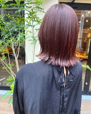 ミディアム カラー 銀座🤍ボブ/ ミディアム/佐野夢美のヘアスタイル