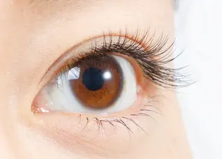 マツエク・マツパ ルチア  のマツエク・マツパデザイン