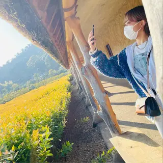 TIDEHAIR SHIHOのヘアスタイル