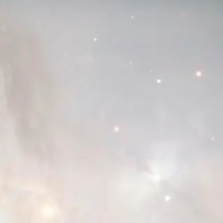 ネイル nicolenail /emureのネイルデザイン