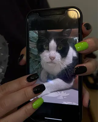 ネイル Nes.Nail所属・Miyagi Asamiのネイルデザイン