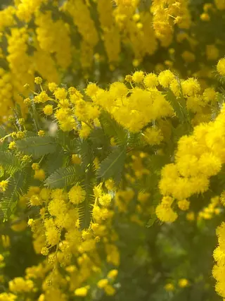 ネイル free hug Hiromiのネイルデザイン